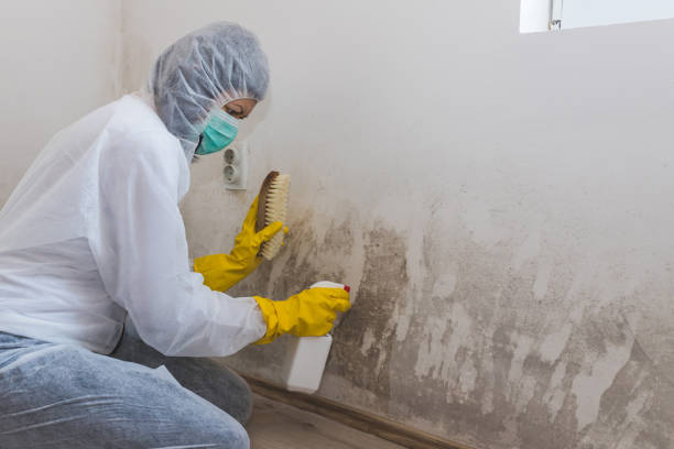 Best Airborne Mold Testing  in Sparks, NV