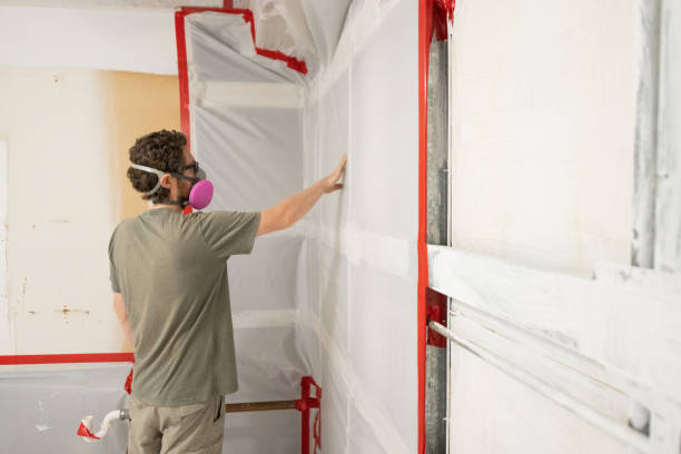 Professional Mold Removal in Sparks, NV