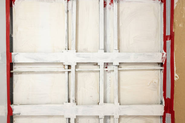 Best Mold Damage Restoration  in Sparks, NV